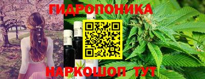 СК Свободный